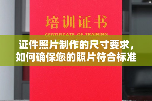 盘龙证件照片制作的尺寸要求，如何确保您的照片符合标准？